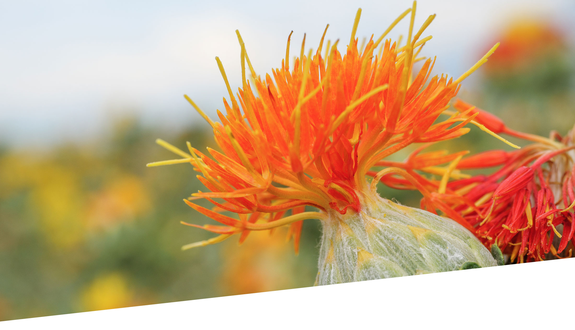 Maria Schuster, mobile Kosmetikerin, Ingolstadt